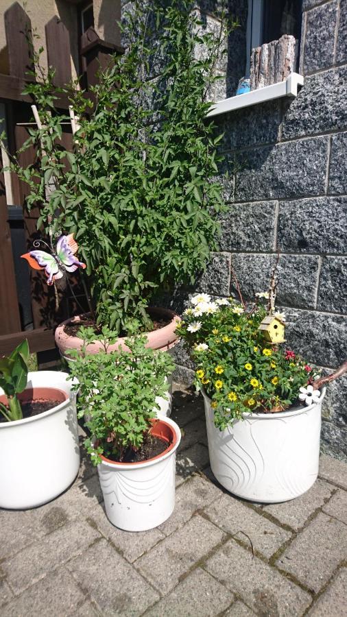 Ferienwohnung Mit Garten Und Spielplatz Klingenthal Kültér fotó